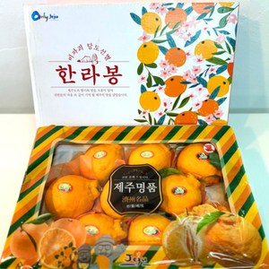 과소담 고당도 제주도 한라봉, 1개, 한라봉 3KG