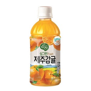 싱그런 제주감귤, 340ml, 12개