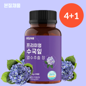 본질채움 프리미엄 수국잎 열수 추출 정 1000mg, 60정, 4개