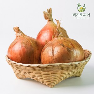 베지토피아 수입양파 특대 업소용 식자재용 도매 대용량 중국산 15kg, 1개