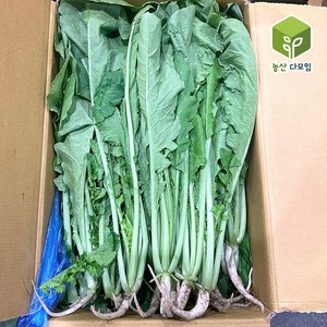 국내산 열무 4kg, 1개