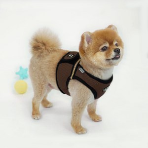 RealPet 프리세이프 강아지 조끼 하네스, 브라운