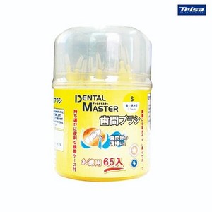 덴탈마스터 치간칫솔 케이스형 1.0mm 65P, 1개, 65개