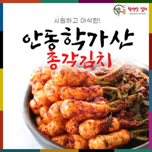 [도경식품][국내산] 안동학가산 고랭지 총각김치 4kg_아이스박스, 4kg, 1개