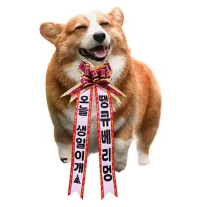 메이드온 기념일 축하 소형 화환 리본, 옵션6, 1개