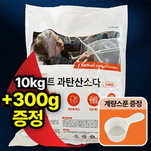 더푸룸 다용도 과탄산소다 대용량 산소계표백제, 1개, 10kg