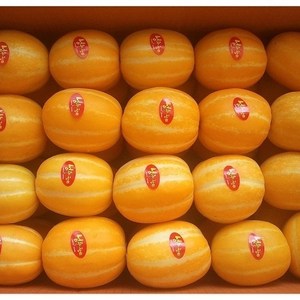 [명가]성주참외 농민직송 꿀벌 참외 등급(상), 1박스, 02.성주 참외 가정용 2kg/중과