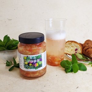 빈스구아바청 500g/ 유기농 국산 구아바로 만든 수제청/ 주스 에이디 열대과일청 GUAVA LIQUID TEA, 1개, 500g, 1개입