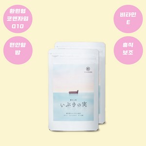 이브키노미 IBUKINOMI 2개 코엔자임 Q10, 21.3g