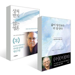 삶이 당신보다 더 잘 안다 + 상처 받지 않는 영혼, 마이클 싱어 저, 라이팅하우스