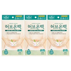 메디힐리 뉴 NEW 허브온팩 5P, 3개