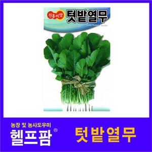 헬프팜 참맛치마열무 60g 종자 열무 씨앗 진흥종묘, 1개