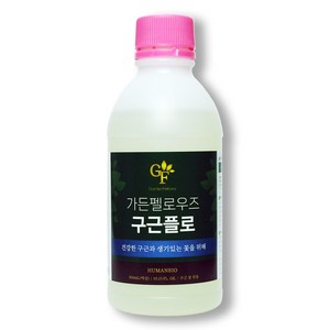 가든펠로우즈 구근플로 구근영양제 꽃영양제 튤립 수선화 히야신스 프리지아 무스카리 백합 크로커스, 1통, 300ml