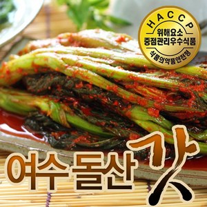 [산지직송] 여수 돌산 갓김치 5kg / 40년 전통의 명인 어머니 손맛!!, 1개