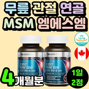 무릎에 좋은 영양제 글루코사민 엠에스엠 MSM 초록 홍합 60대 여성 초롱잎 캐나다 디메틸설폰 부모님 손관절 손마디 조인트 케어 MSN 영양제 추천 어르신 노인 실버 연골 어깨