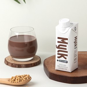 식물성 단백질 초콜릿 맛 음료 이너프 뮐크 250ml 24팩, 48개