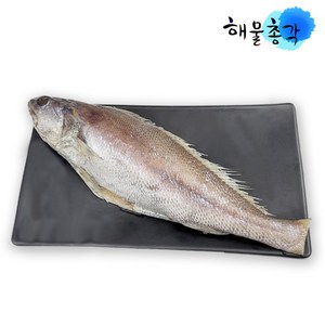 해물총각 민어 제주민어 400g, 1개