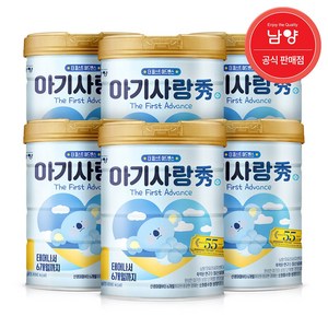 아기사랑수 어드밴스 분유 1단계, 750g, 6개