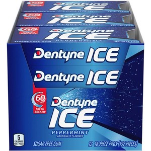 덴타인 아이스 검 페퍼민트 대용량 16개입X12개 총192개 Dentyne Ice Gum, 1개