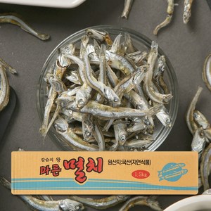 너트리 24년 햇 고바멸치 1.5kg 볶음 조림용, 1개