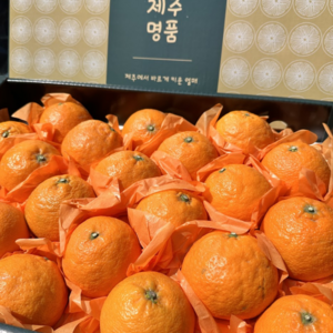 [재구매1위] 프리미엄특품 어버이날선물 과일선물세트 카라향선물세트, 1개, 3kg 선물세트