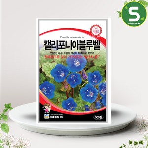 캘리포니아블루벨씨앗 500립 일년생 꽃씨앗 종자, 1개