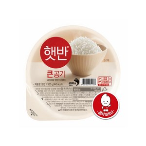 햇반 큰공기, 300g, 20개