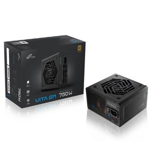 FSP VITA GM 750W 80PLUS GOLD ATX3.1 파워 (ATX 750W), 1개, 선택하세요