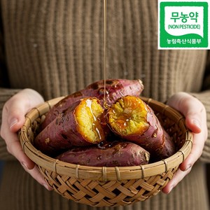 [형제식탁] 세척 해남 초고당도 해남 꿀고구마, 1박스, 3kg(한입)
