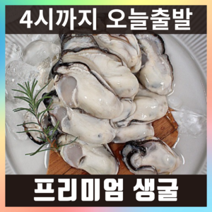 햇굴 생굴 당일작업 깐굴 굴 통영, 1개, 최상급 2kg