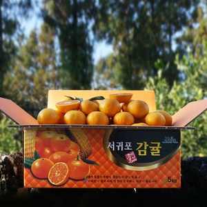 귤담원 제주 제철 감귤, 03.감귤 3kg 로얄과(S/M), 1박스