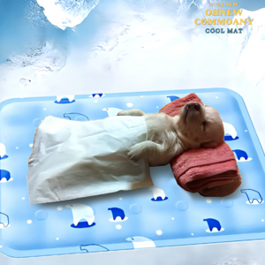 [냉감200%] 오뉴컴퍼니 시원한 애완용 강아지 고양이 여름 쿨매트 방석