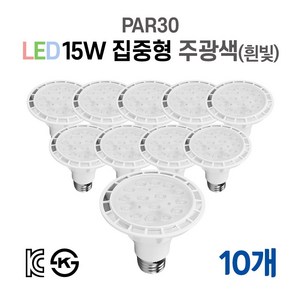 라인조명 LED에코 파30램프 15W PAR30 집중형 확산형, 10개, 4. 집중형 주광색(하얀빛)