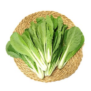 [오창농협] 친환경 얼갈이배추 500g x 2봉, 2개