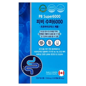 수퍼나인 피비300 pb300 프로바이오틱스 유산균 17종 2개월분 4개월분 장건강 면역 프리바이오틱스, 60정, 1개