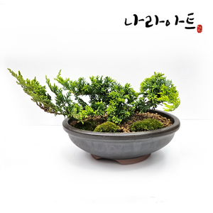 야생화옹기납작화분 옹기 옹기화분 국산옹기 분재화분 다육화분, 04.야생화옹기분재(소,중세트)