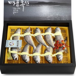 영광법성포굴비 명품 오가1호 10미 1.0 kg 실속형 추선물세트, 1박스, 10마리 1.0 kg내외 한마리100 g 22 cm