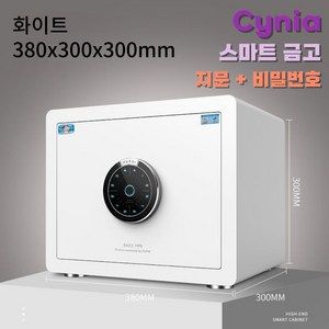 Cynia 예쁘고 튼튼한 가정용 금고 지문인식 비밀번호 소형부터 대형, 30cm, 화이트