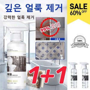 1+1 인텐시브 옥살산 타일 오염제거 클리너 주방 세정제 화장실변기세정제 욕실세정제, 2+2, 2개