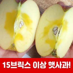 햇사과 부사 꿀 사과 고당도 가정용 선물용 햇사과 2kg 5kg 10kg, 1박스, 10kg 흠과 중과 (32-40과)