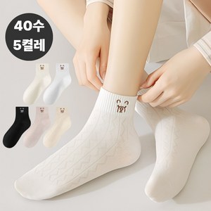 오쩡스 여성용 데일리 여름용 40수 곰돌이 양말 5족 세트