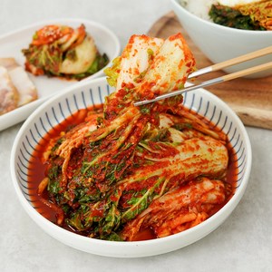 [전라도청년] 100%국산 당일제조 전라도 봄동 겉절이, 1개, 1kg