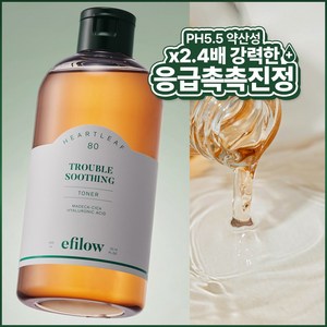 에필로우 어성초 80 시카 히알루로닉 트러블 수딩 약산성 비건 토너 300ml, 1개