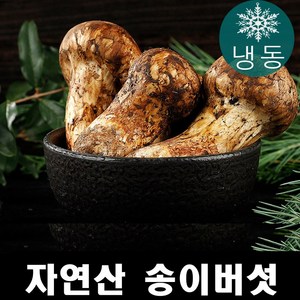 진심좋은 자연산 냉동 송이 버섯 자연 송이버섯 1kg, 1등급 1kg, 1박스