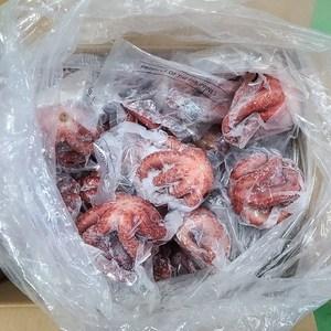 도매/업소용 대용량 9kg 냉동자숙문어 (데친문어) [EL], 600g 내외(13~14미), 1개