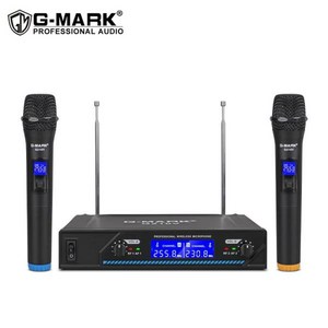 무선마이크 파티 모임 교회 쇼 홈용 휴대용 노래방 마이크 전문 무선 GMARK G210V 2 채널, 2) US Plug