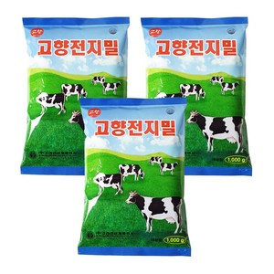 고향 차, 1kg, 3개