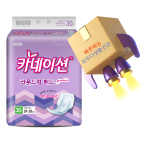 카네이션 프리미엄 라운드패드 속기저귀 30개입 X3팩, 30매입, 3개