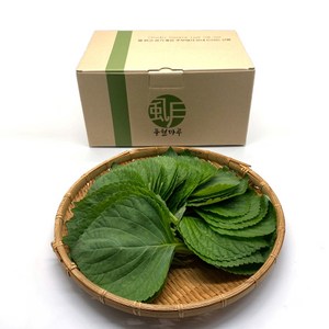 풍월마루 초신선 추부깻잎 10봉 봉당30장 500g GAP인증 당일수확 산지직송 금산, 1개, 500g이상