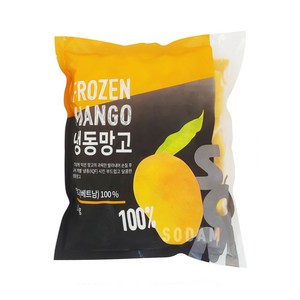 솜 냉동망고 다이스 4kg(1kgx4팩) 베트남산 25mm컷, 1개, 4kg(1kgx4)